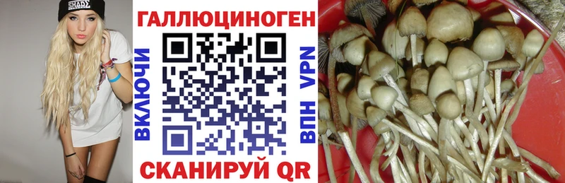 Галлюциногенные грибы ЛСД  Новоузенск 